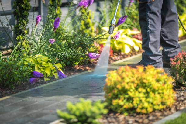 Best Restaurant Pressure Washing  in South Sioux City, NE